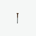 Kleurkop schroeven Teak - 4,2 x 38mm - TX20 - 100 stuks